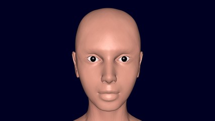 3d female character with skin on face. 3d render