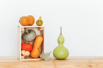 Different multicolored decorative pumpkins, lagenaria or bottle gourd and wooden box on a wooden shelf on white background.