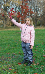 Autumn photo of laughing little girl with red japanese maple branch. Autumn day