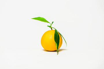 Single orange in a white background 