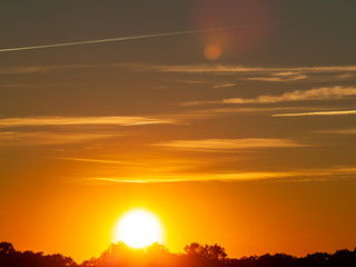 Obraz premium Sunset in the pasture with romantic sky with chemtrails and lens flare