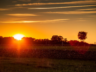 Sunset in the pasture with romantic sky with chemtrails and lens flare