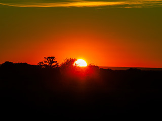 Sunset in the pasture with romantic sky with chemtrails and lens flare