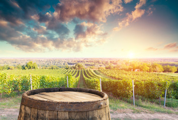 Red wine with barrel on vineyard in green Tuscany, Italy