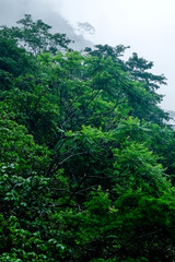 Obraz premium Moody Nature of Taroko Gorge in Taiwan