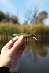 Lure in hand on the background of wild lake with reeds. Sunny day. Fishing for predatory fish. Macro. Bokeh