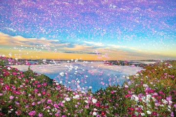 雲海の朝とコスモスの夢が幻想的な風景