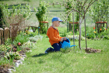 European boy is taking care of tree in the garden, he is watering it from the blue watering can.