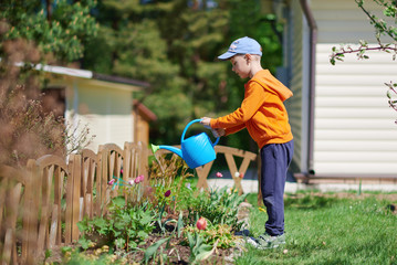 Cute European boy is watering tulipes in the countryside garden. He likes to help his mother in the...