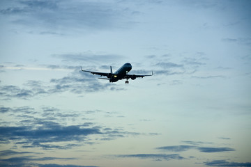 Flight at sunset in the blue sky