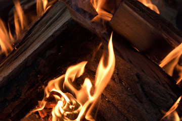 Fire flames with wooden pieces