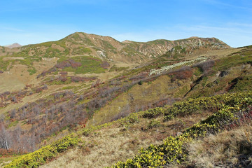 Fototapeta na wymiar Panorama with yellow autumn hills and mountains. Abkhazia.