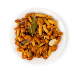 Marinated mushrooms in a plate on a white. The view from the top.