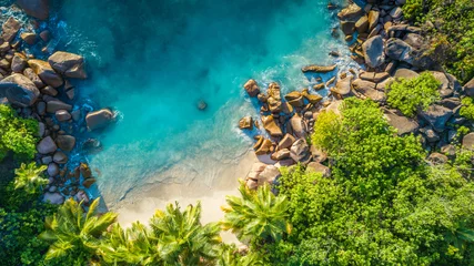 Foto op Plexiglas Luchtfoto strand Tropisch strand met zee en palm ontleend aan drone. Beroemd haaienstrand van de Seychellen - luchtfoto