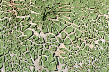 Texture of the wall with old green paint
