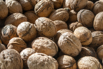More walnut for background, detail