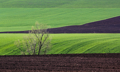 Fresh plowed land in spring