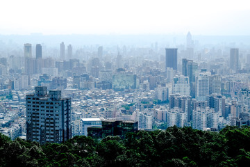 Obraz premium View of Taipei 101 in Taipei from Elephant Mountain