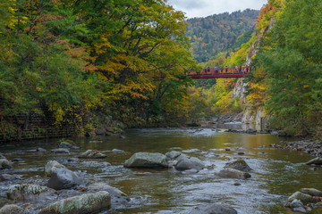 Autumn leaves view in Jozankei onsen village