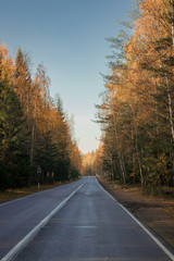 autumn road colours.autumn landscape road, fallen leaves fall color