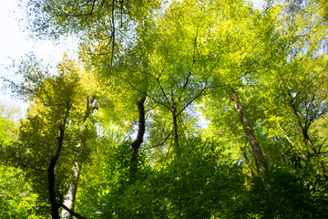 Краснодарский Край