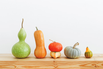 Different multicolored decorative pumpkins on a wooden table on a background of white wall.