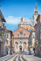 Fototapeta na wymiar Basilica di Sant'Antonio, Padova