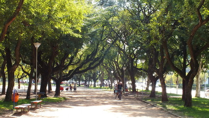 vida natural