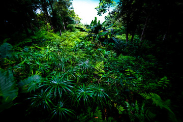View of Sun Moon Lake in Taiwan