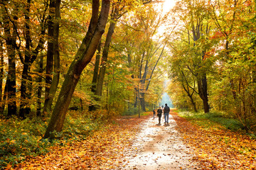 Wandern im bunten Herbstwald