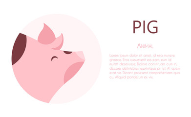 Banner with pig in frame and text field. Card in flat design. Vector.