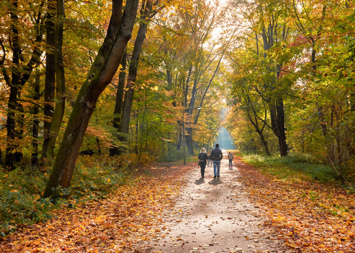  "Spaziergang Images – Browse 88,693 Stock Photos, Vectors, and Video Illustration 