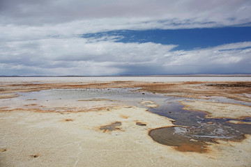 Colorful lagoon at the Salar de Uyuni in Bolivia