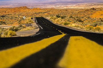 Nevada Highway