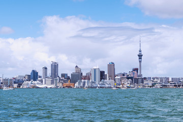 Auckland City View from Bayswater Wharf Auckland New Zealand