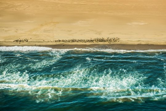 Aerial view, Seal colony on the Atlantic coast of the Namib Desert, Erongo region, Namibia, Africa