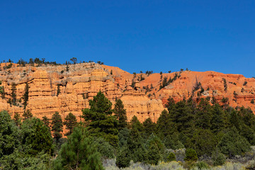 Fototapeta na wymiar Red canyon, laik nowhere else on earth, beautiful national park in Utah