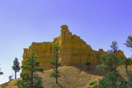 Red canyon, laik nowhere else on earth, beautiful national park in Utah
