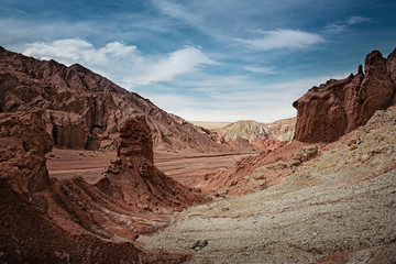 Fototapeta premium View of oasis surrounding course of Rio San Pedro