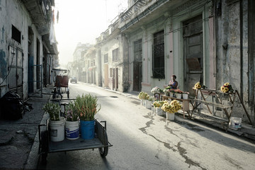 Havana Cubu at dawn. Typical residential street in Centro with parked cars and very little traffic.