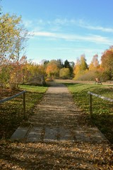 Fototapeta na wymiar Weg durch den Park im sonnigen Herbst