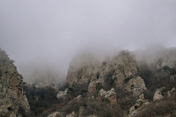 Rocks, bushes and fog in autumn Crimea mountains. Beautiful landscape.