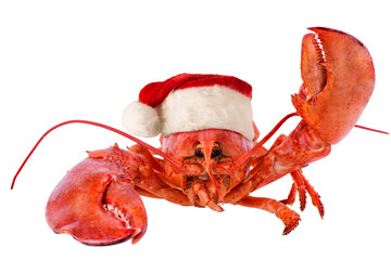 Funny lobster for Christmas, isolated on white background.