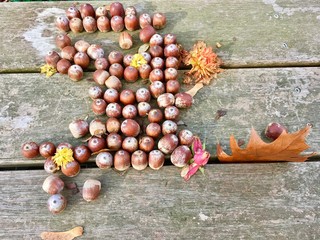 Autumn Inspiration with Arcorns