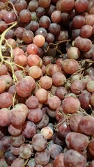 grappoli di uva rossa