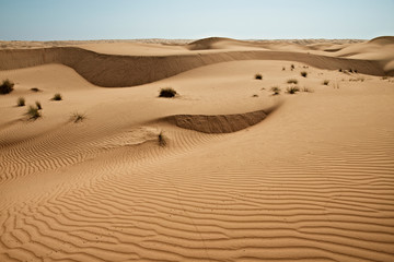Huge dunes of the desert. Growth of deserts on Earth