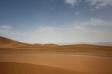 Fototapeta na wymiar Huge dunes of the desert. Growth of deserts on Earth