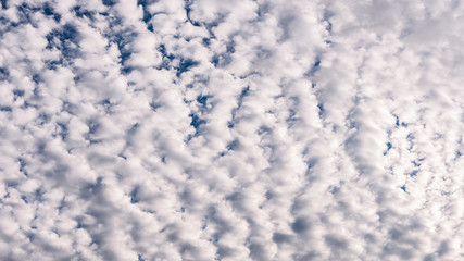 Cirrocumulus Wolken III