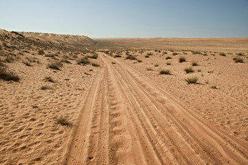 Tyre / Tire Tracks Through The Desert Sand Dunes