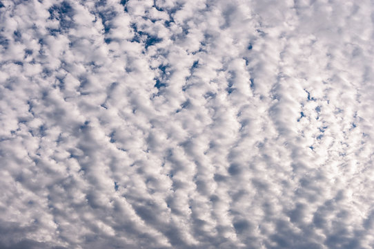 Cirrocumulus Wolken I